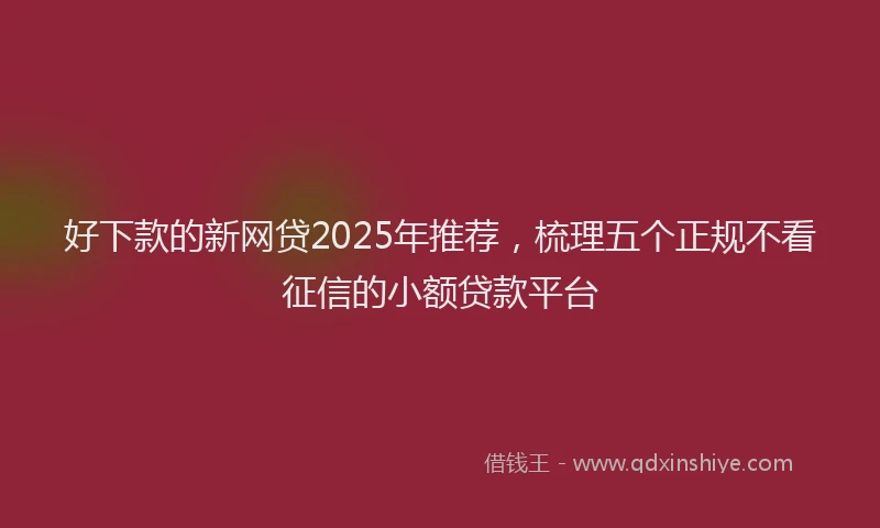 好下款的新网贷2025年推荐，梳理五个正规不看征信的小额贷款平台