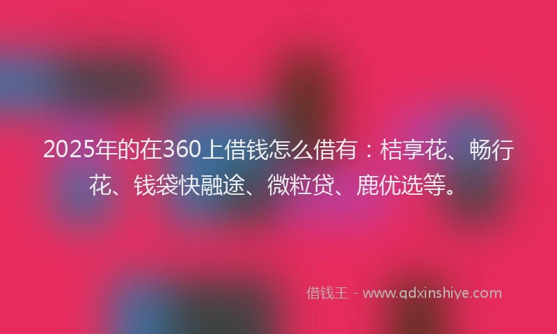 2025年的在360上借钱怎么借有：桔享花、畅行花、钱袋快融途、微粒贷、鹿优选等。