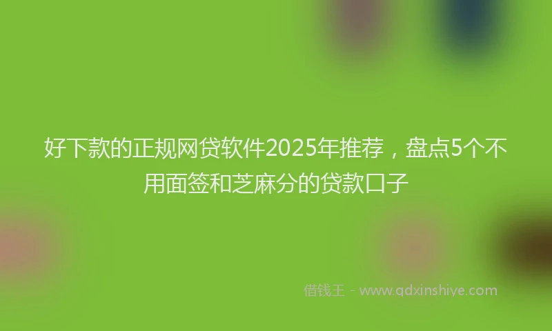 好下款的正规网贷软件2025年推荐，盘点5个不用面签和芝麻分的贷款口子