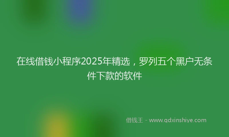 在线借钱小程序2025年精选，罗列五个黑户无条件下款的软件