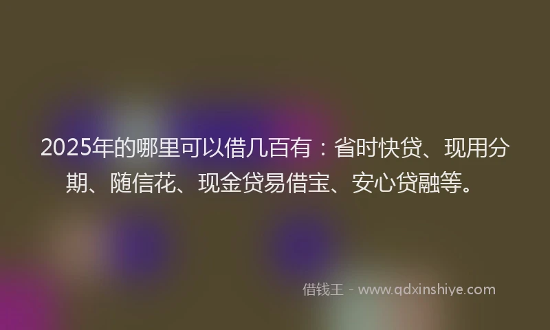 2025年的哪里可以借几百有：省时快贷、现用分期、随信花、现金贷易借宝、安心贷融等。