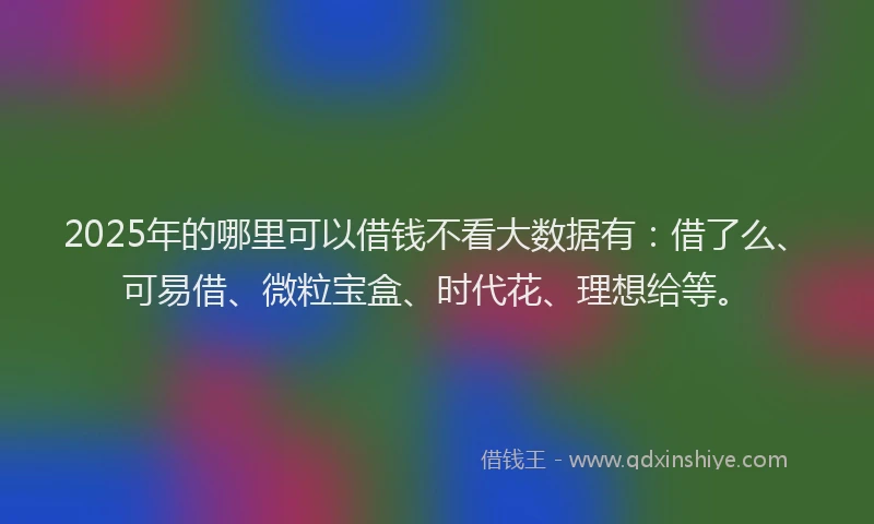 2025年的哪里可以借钱不看大数据有：借了么、可易借、微粒宝盒、时代花、理想给等。