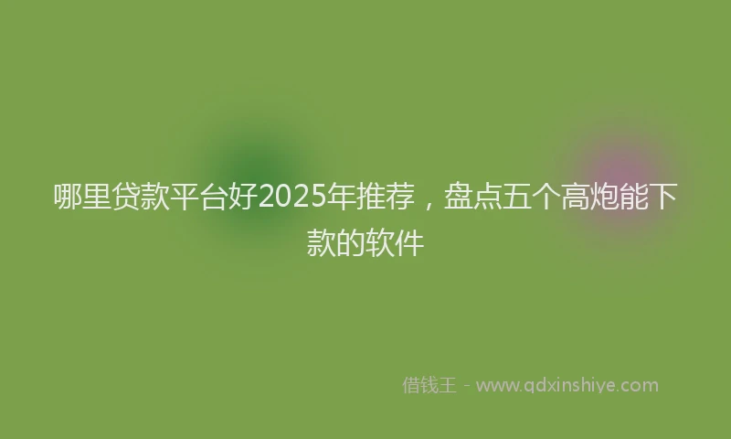 哪里贷款平台好2025年推荐，盘点五个高炮能下款的软件