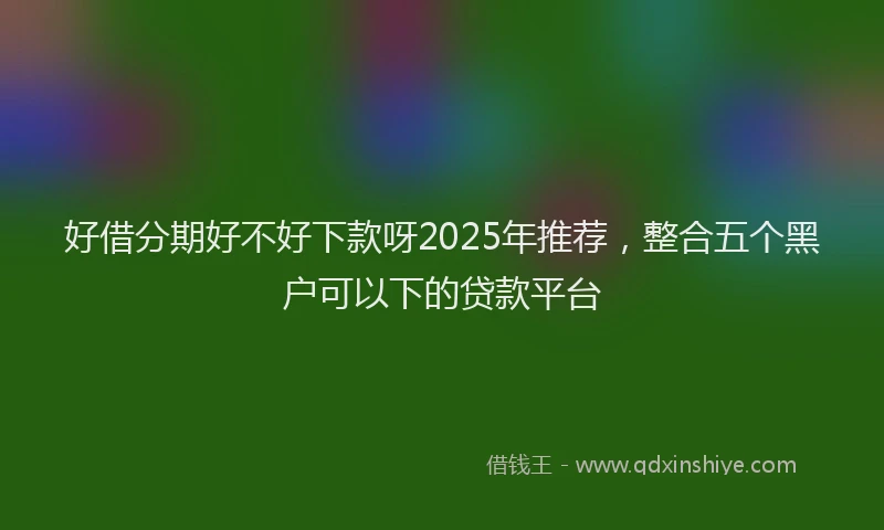 好借分期好不好下款呀2025年推荐，整合五个黑户可以下的贷款平台