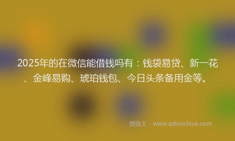 2025年的在微信能借钱吗有：钱袋易贷、新一花、金峰易购、琥珀钱包、今日头条备用金等。