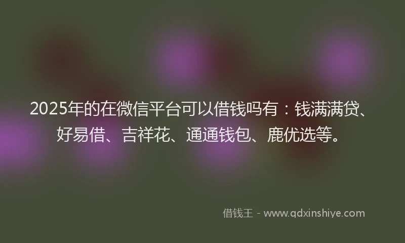 2025年的在微信平台可以借钱吗有：钱满满贷、好易借、吉祥花、通通钱包、鹿优选等。