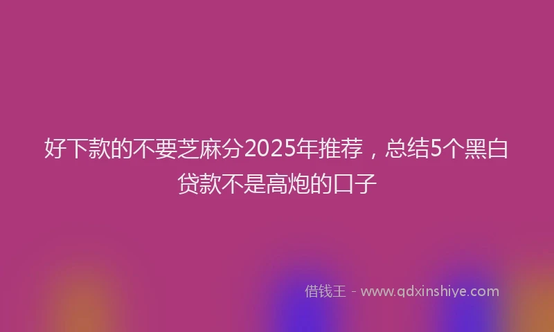 好下款的不要芝麻分2025年推荐，总结5个黑白贷款不是高炮的口子