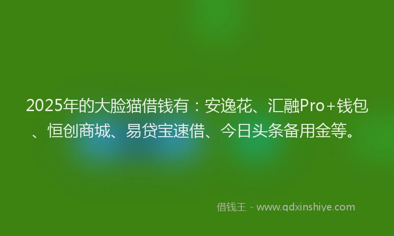 2025年的大脸猫借钱有：安逸花、汇融Pro+钱包、恒创商城、易贷宝速借、今日头条备用金等。