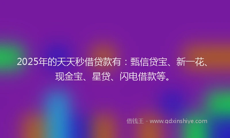 2025年的天天秒借贷款有：甄信贷宝、新一花、现金宝、星贷、闪电借款等。