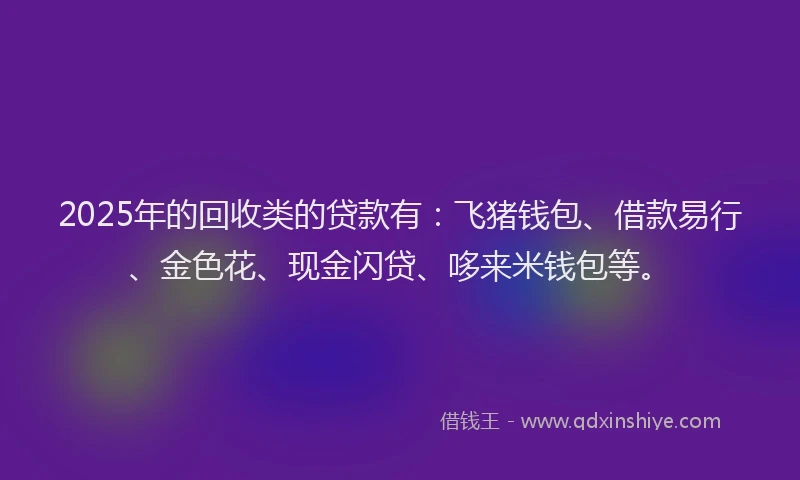 2025年的回收类的贷款有：飞猪钱包、借款易行、金色花、现金闪贷、哆来米钱包等。