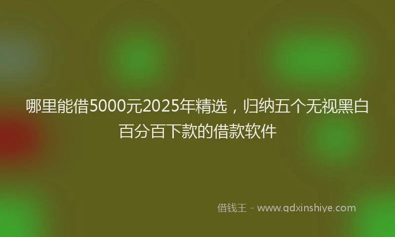 哪里能借5000元2025年精选，归纳五个无视黑白百分百下款的借款软件