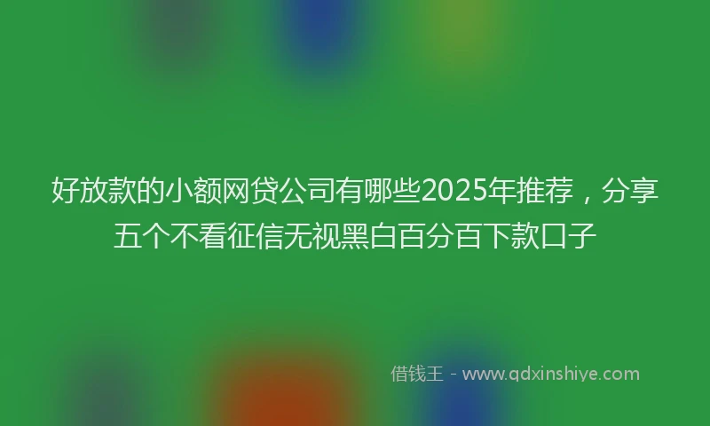 好放款的小额网贷公司有哪些2025年推荐，分享五个不看征信无视黑白百分百下款口子