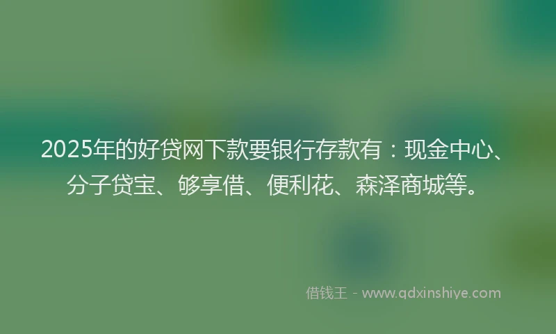2025年的好贷网下款要银行存款有：现金中心、分子贷宝、够享借、便利花、森泽商城等。