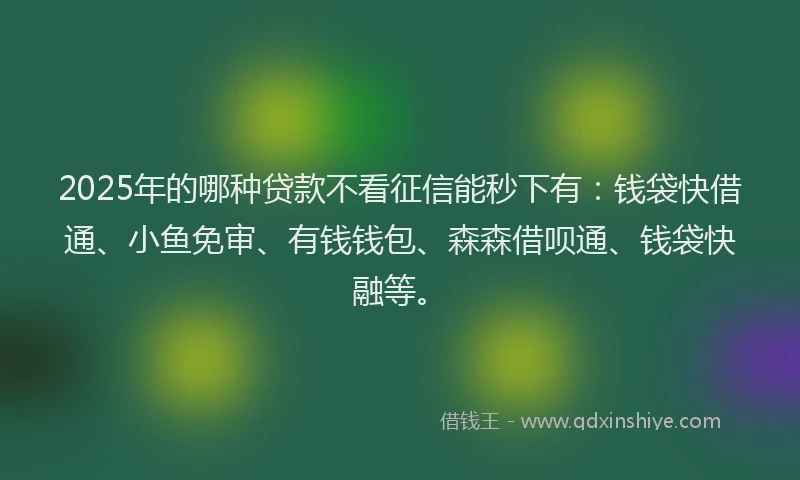 2025年的哪种贷款不看征信能秒下有：钱袋快借通、小鱼免审、有钱钱包、森森借呗通、钱袋快融等。