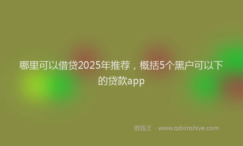 哪里可以借贷2025年推荐，概括5个黑户可以下的贷款app
