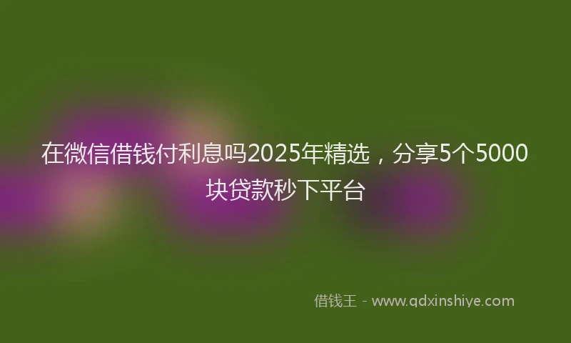 在微信借钱付利息吗2025年精选，分享5个5000块贷款秒下平台