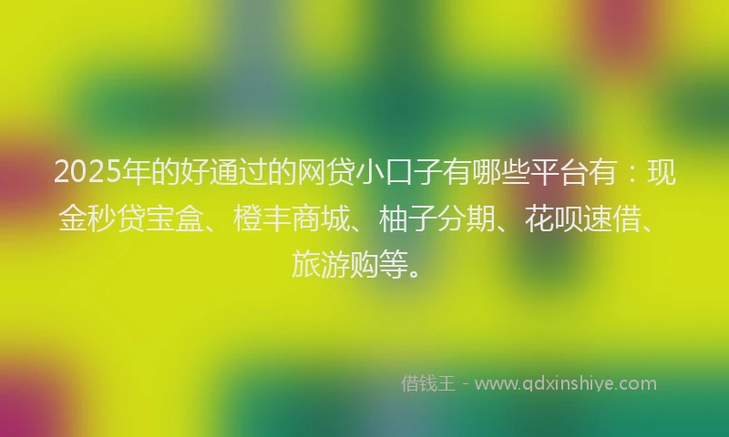 2025年的好通过的网贷小口子有哪些平台有：现金秒贷宝盒、橙丰商城、柚子分期、花呗速借、旅游购等。