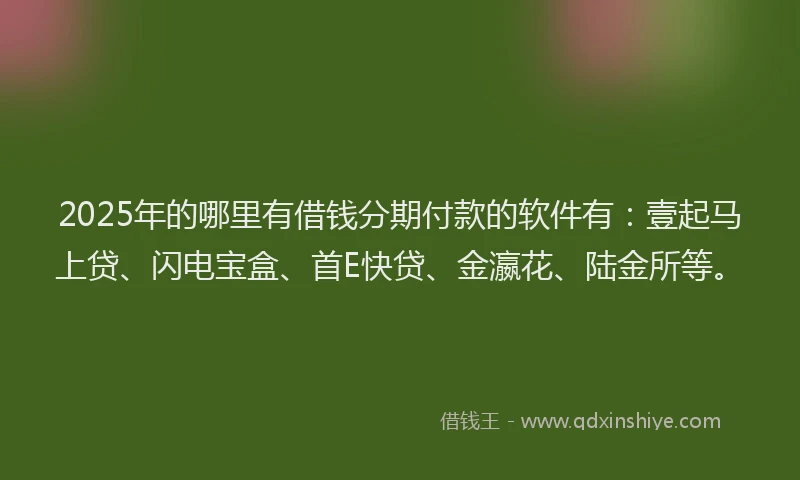 2025年的哪里有借钱分期付款的软件有：壹起马上贷、闪电宝盒、首E快贷、金瀛花、陆金所等。