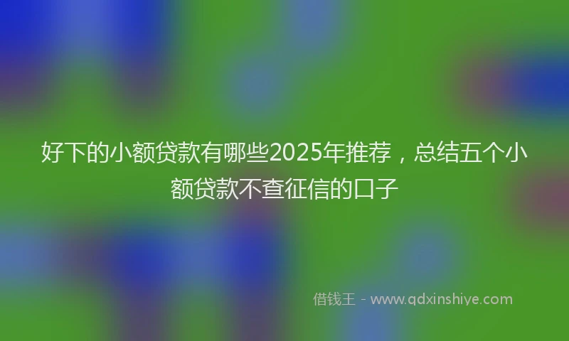 好下的小额贷款有哪些2025年推荐，总结五个小额贷款不查征信的口子