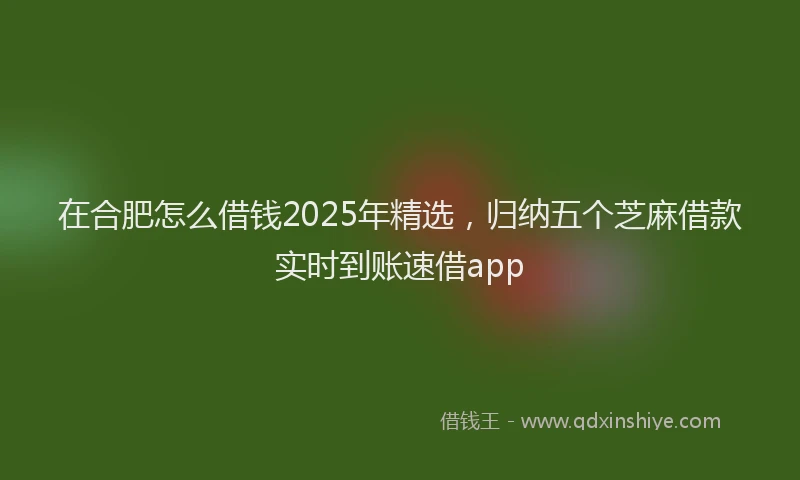 在合肥怎么借钱2025年精选，归纳五个芝麻借款实时到账速借app