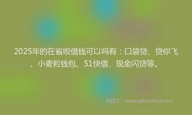 2025年的在省呗借钱可以吗有：口袋贷、贷你飞、小麦粒钱包、51快借、现金闪贷等。