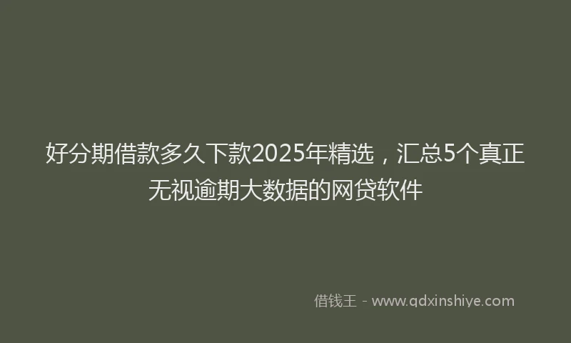 好分期借款多久下款2025年精选，汇总5个真正无视逾期大数据的网贷软件