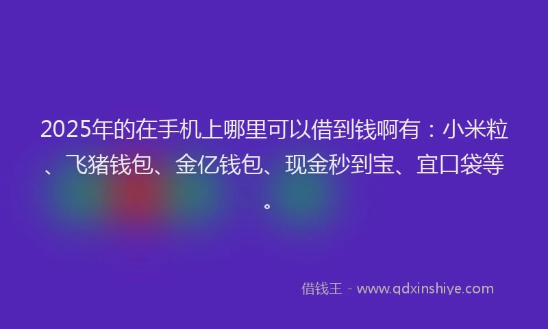 2025年的在手机上哪里可以借到钱啊有：小米粒、飞猪钱包、金亿钱包、现金秒到宝、宜口袋等。