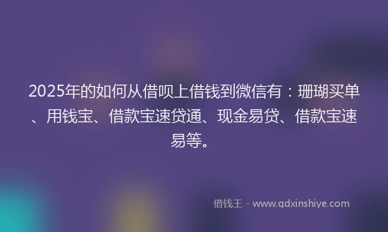 2025年的如何从借呗上借钱到微信有：珊瑚买单、用钱宝、借款宝速贷通、现金易贷、借款宝速易等。