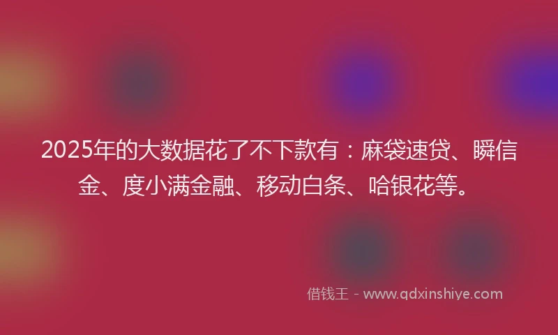 2025年的大数据花了不下款有：麻袋速贷、瞬信金、度小满金融、移动白条、哈银花等。