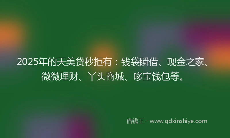 2025年的天美贷秒拒有：钱袋瞬借、现金之家、微微理财、丫头商城、哆宝钱包等。