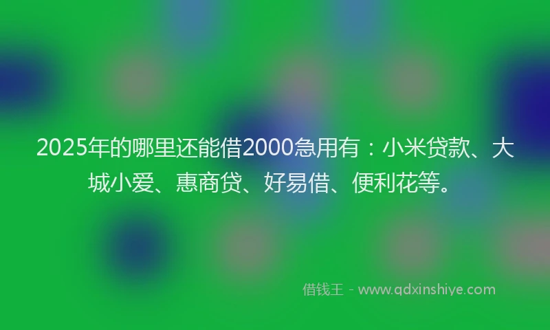 2025年的哪里还能借2000急用有：小米贷款、大城小爱、惠商贷、好易借、便利花等。