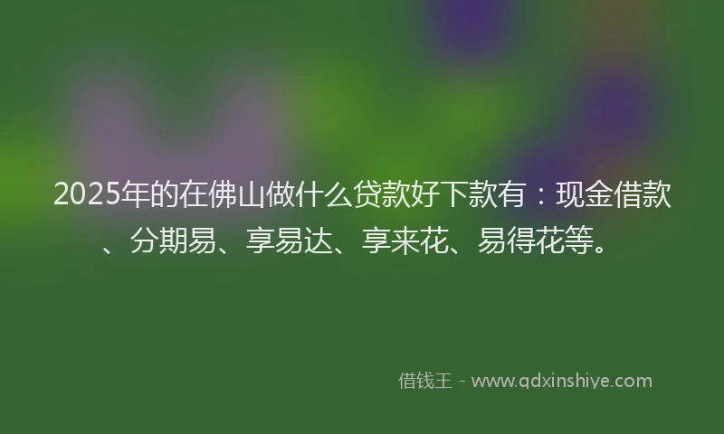 2025年的在佛山做什么贷款好下款有：现金借款、分期易、享易达、享来花、易得花等。