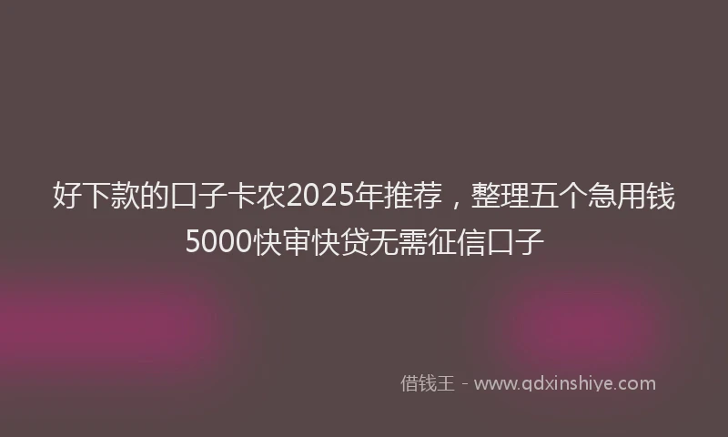 好下款的口子卡农2025年推荐，整理五个急用钱5000快审快贷无需征信口子
