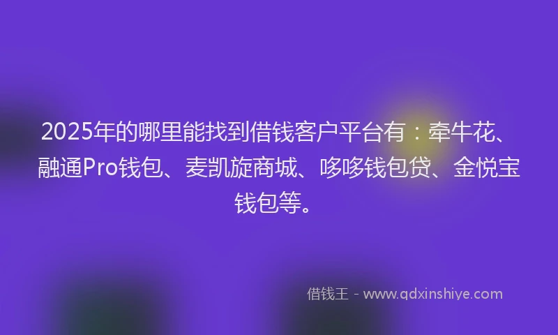 2025年的哪里能找到借钱客户平台有：牵牛花、融通Pro钱包、麦凯旋商城、哆哆钱包贷、金悦宝钱包等。