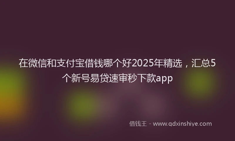 在微信和支付宝借钱哪个好2025年精选，汇总5个新号易贷速审秒下款app