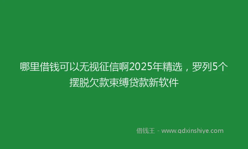 哪里借钱可以无视征信啊2025年精选，罗列5个摆脱欠款束缚贷款新软件