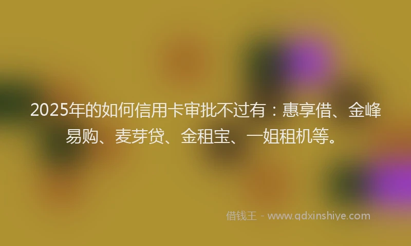 2025年的如何信用卡审批不过有：惠享借、金峰易购、麦芽贷、金租宝、一姐租机等。