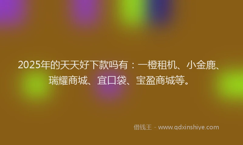 2025年的天天好下款吗有：一橙租机、小金鹿、瑞耀商城、宜口袋、宝盈商城等。