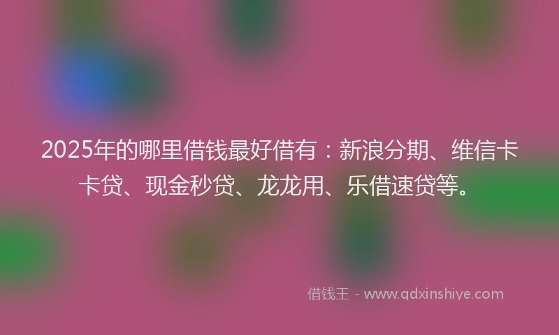 2025年的哪里借钱最好借有：新浪分期、维信卡卡贷、现金秒贷、龙龙用、乐借速贷等。
