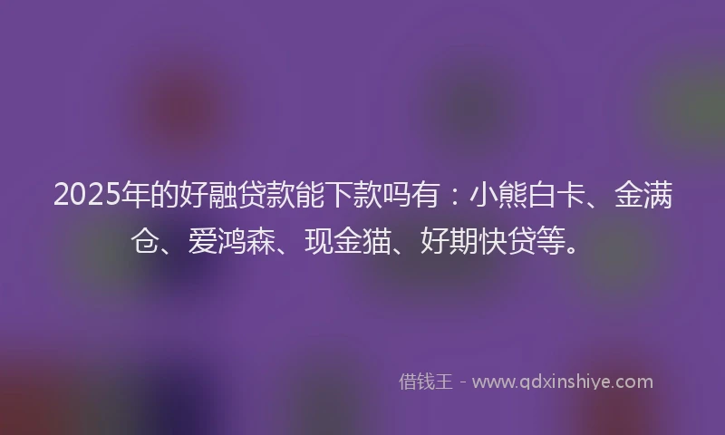 2025年的好融贷款能下款吗有：小熊白卡、金满仓、爱鸿森、现金猫、好期快贷等。