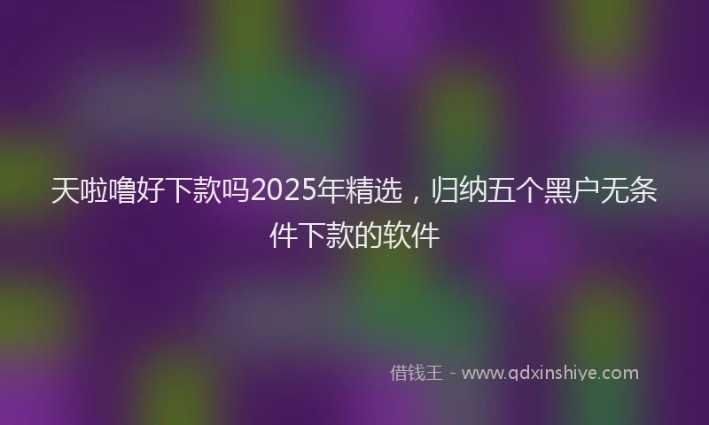 天啦噜好下款吗2025年精选，归纳五个黑户无条件下款的软件