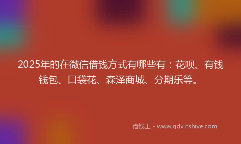 2025年的在微信借钱方式有哪些有：花呗、有钱钱包、口袋花、森泽商城、分期乐等。