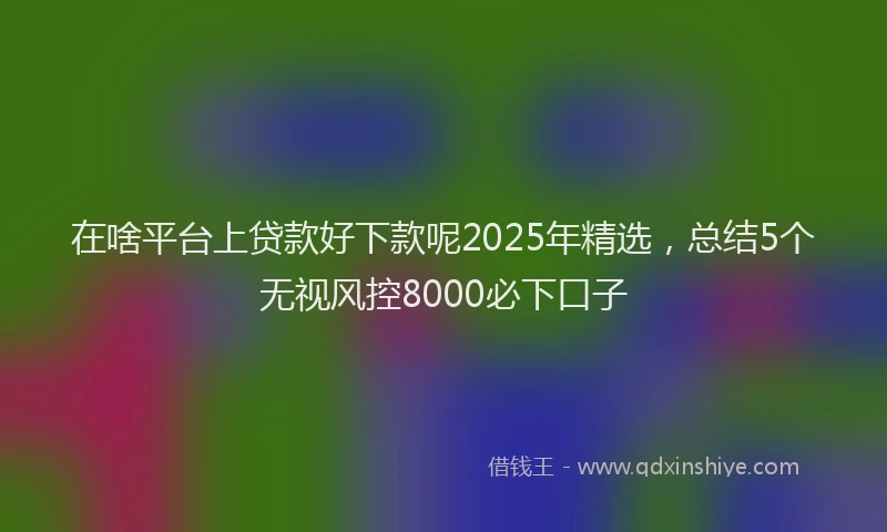 在啥平台上贷款好下款呢2025年精选，总结5个无视风控8000必下口子