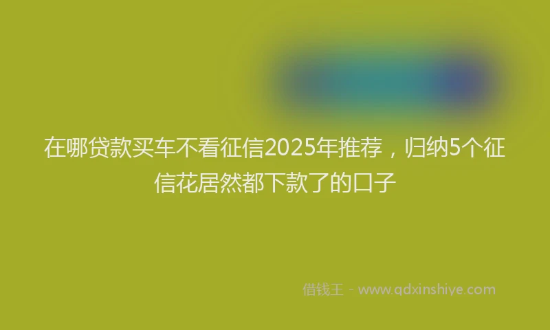 在哪贷款买车不看征信2025年推荐，归纳5个征信花居然都下款了的口子
