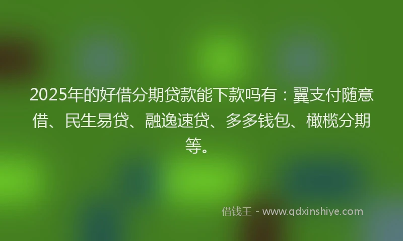 2025年的好借分期贷款能下款吗有：翼支付随意借、民生易贷、融逸速贷、多多钱包、橄榄分期等。