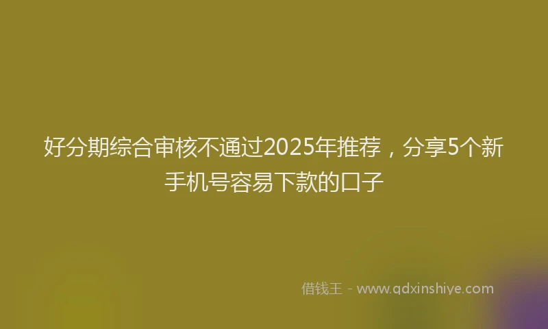 好分期综合审核不通过2025年推荐，分享5个新手机号容易下款的口子