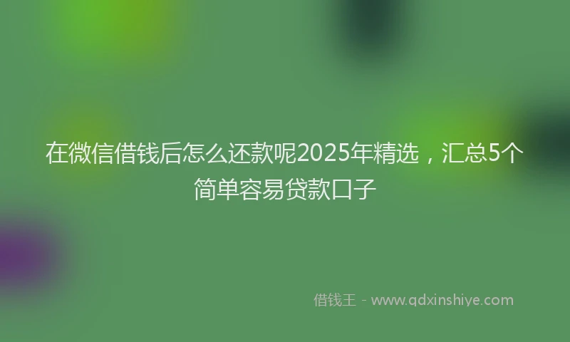 在微信借钱后怎么还款呢2025年精选，汇总5个简单容易贷款口子