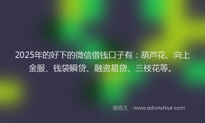 2025年的好下的微信借钱口子有：葫芦花、向上金服、钱袋瞬贷、融资易贷、三枝花等。