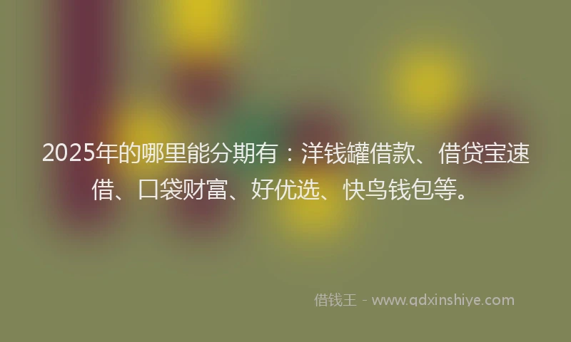 2025年的哪里能分期有：洋钱罐借款、借贷宝速借、口袋财富、好优选、快鸟钱包等。