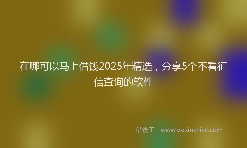 在哪可以马上借钱2025年精选，分享5个不看征信查询的软件